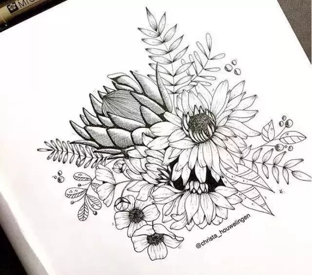 花卉线描工笔插画都能用得着