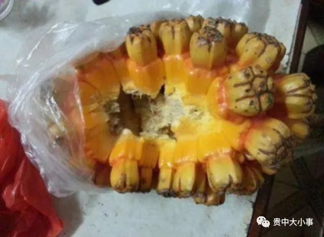 农村一种常见的"假菠萝,很少人摘来吃,但加工成手链却不便宜__凤凰网