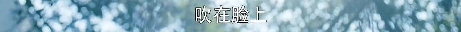 看刘奕君谈恋爱，我才真上头