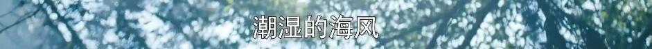 看刘奕君谈恋爱，我才真上头