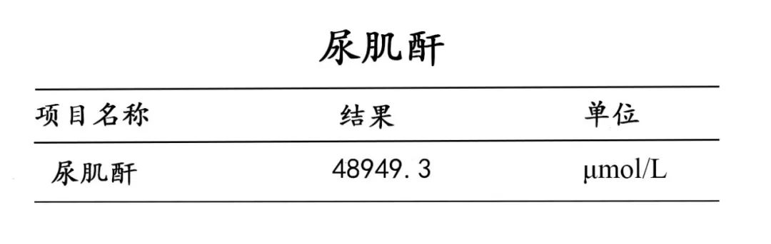 被嫌弃的肌酐的一生,但她的血肌酸,胍基乙酸等肌酸代谢途径的不同产物
