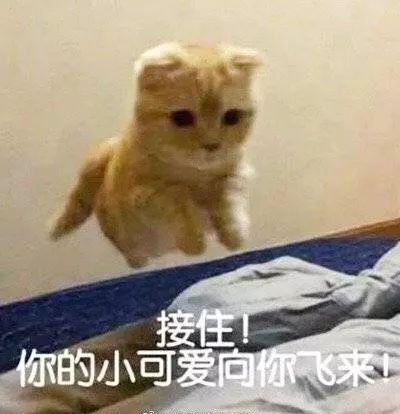 婚后臃肿变老的宋慧乔又美回来了，新剧竟比小12岁男主还嫩！