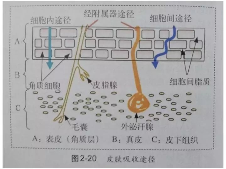 粉红女郎翻拍王鸥演万人迷？可她都胖出慈祥脸了