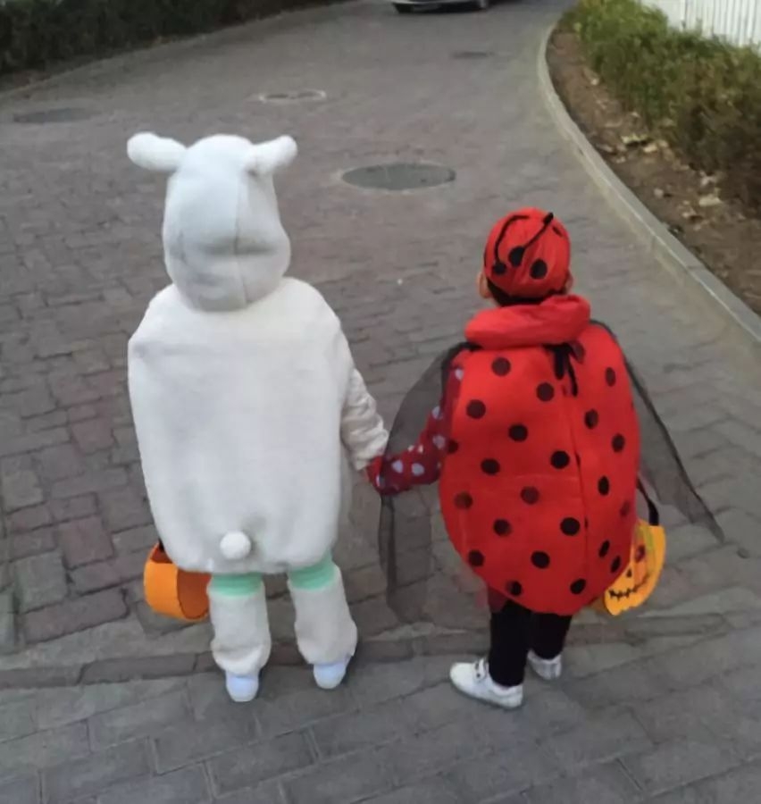 突然宣布大婚！她要回归家庭，再也不拍戏了