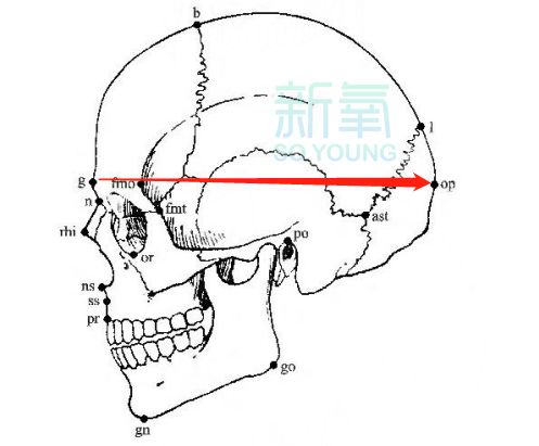 无修图的娜扎和韩国第一美人撞衫同框，依然吊打？