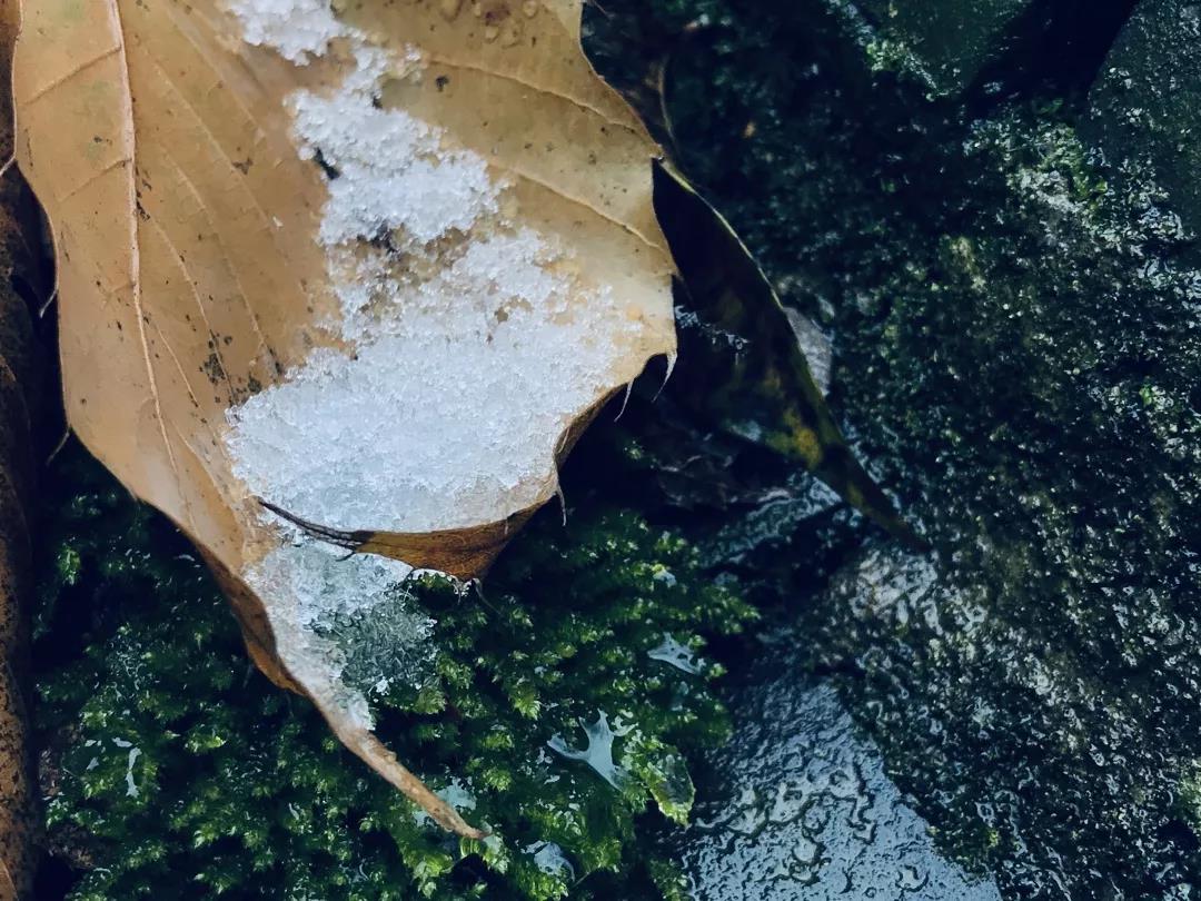 乱逛 如果下雪，我就想跑进青城山的迷雾