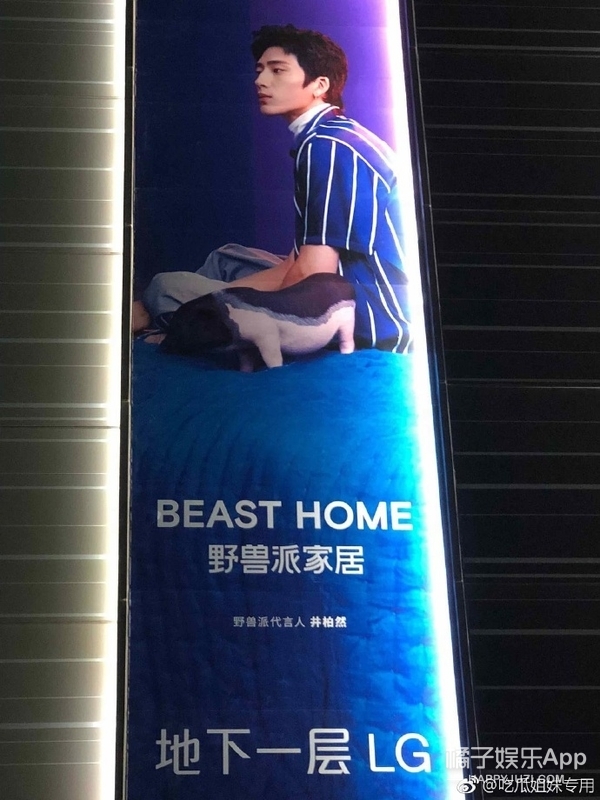 他家的猪可以盖章是猪圈顶流了吧？