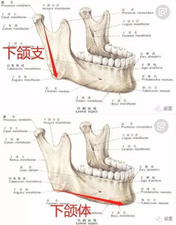 天呐！允儿张嘴吃口饭的功夫，脸上竟然塌了一个坑！