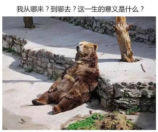 靠脸惊艳世界的第一美少女把自己整成这个鬼样子了…