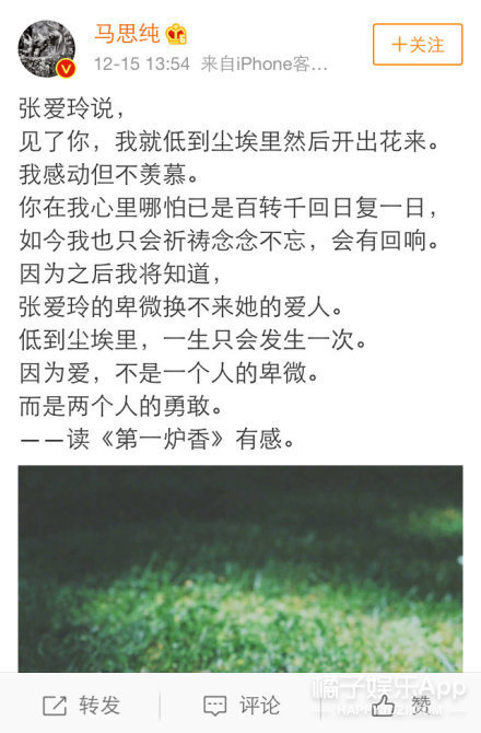 晚报|金莎为翻唱歌曲找寻著作人 爱尔兰名模整容过程曝光