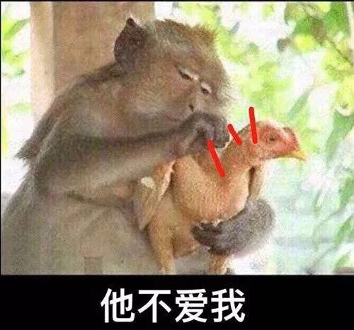 “好七年还AA,你算什么男人?”