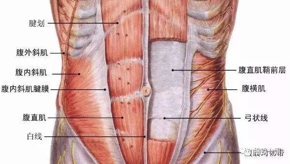 继程潇、孟美岐之后，杨超越也肥成了张惠妹，创造101有毒吗？