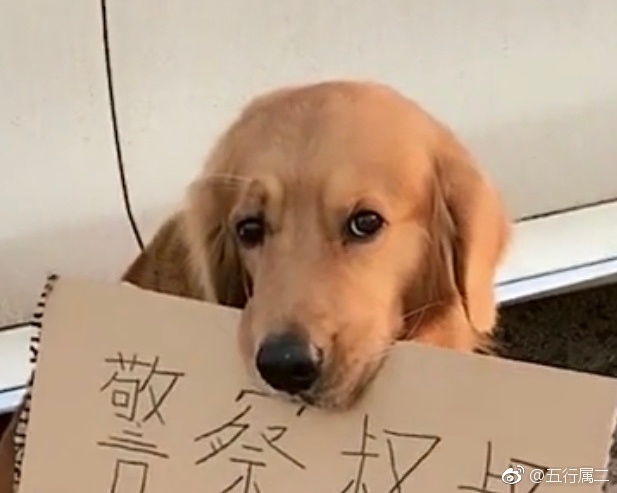 每日神段子丨生活让你咬牙坚持的真正目的是让你的咬肌变大 ​​​​