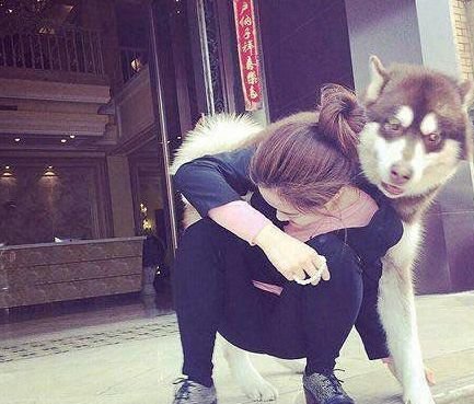 搞笑gif:我不相信你在家,你把头伸出来,我看看