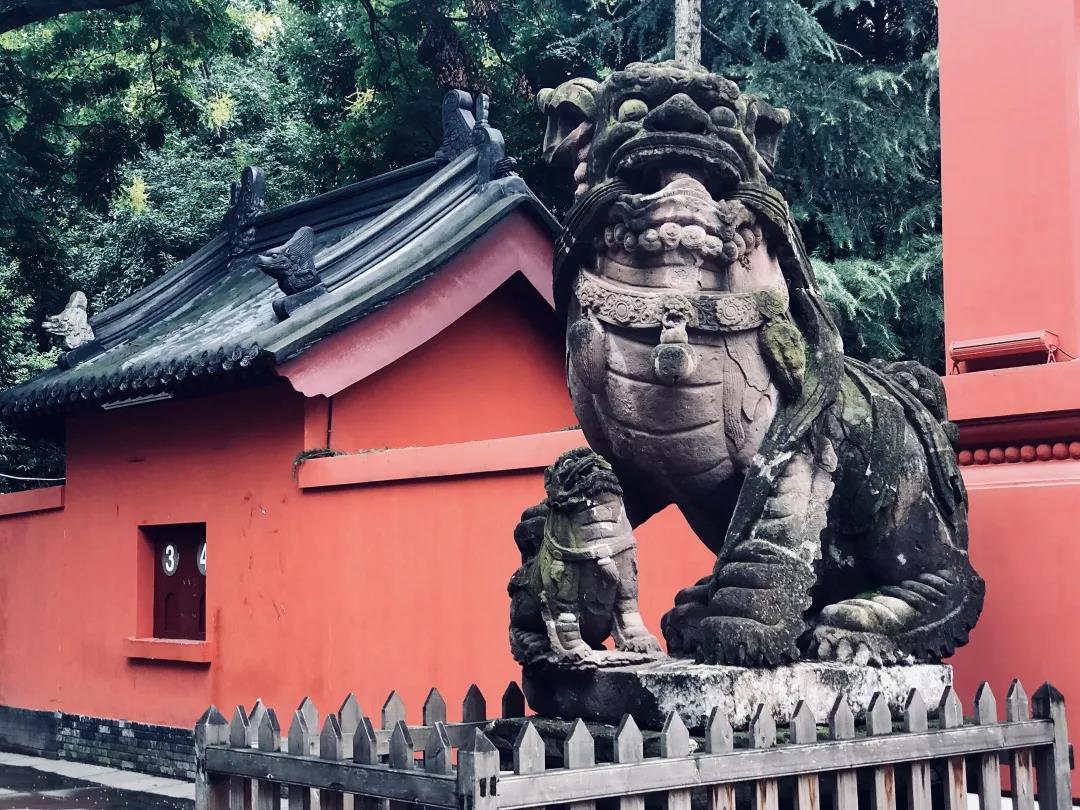 这一年,我用300万步串起了这些街巷,菜市,场镇,博物馆