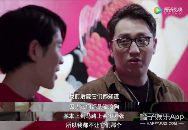 被他和流浪猫狗的故事感动了...