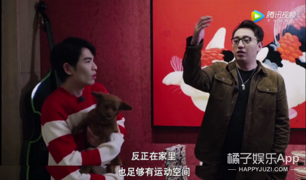 被他和流浪猫狗的故事感动了...