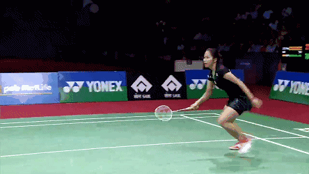 羽毛球 444_250 gif 动态图 动图