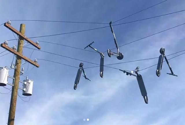 挂在电线杆上的共享单车，成了最疯狂的行为艺术