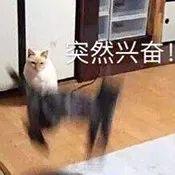 年度奇迹？关晓彤已经白到跟宋祖儿不分上下了