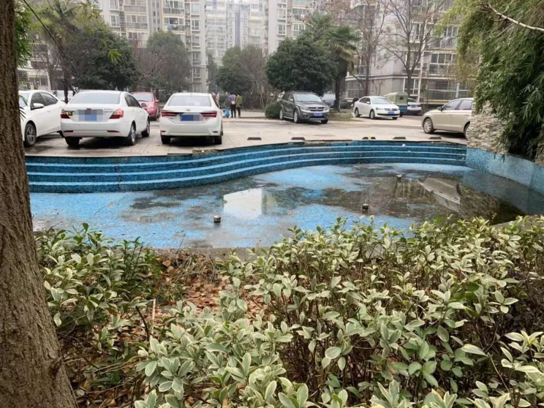 惊魂电梯、环境脏乱差！南京这家小区业主爆发了，正在集体换物业！__凤凰网