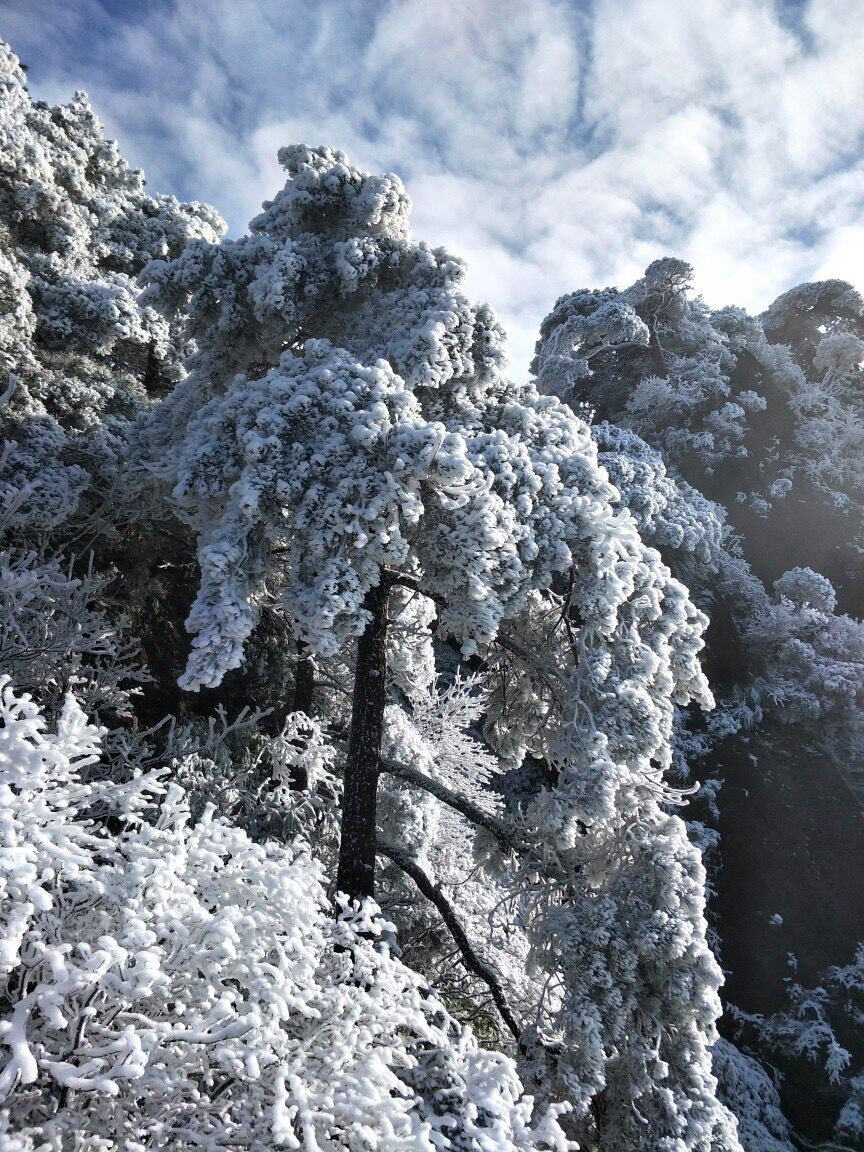 三清山下雪啦!