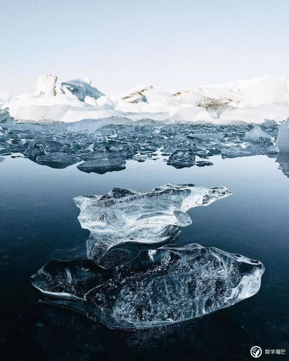 苹果在 Instagram 上选出了这九张年度照片
