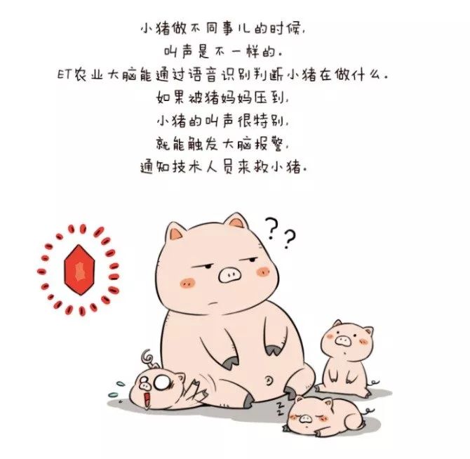 互联网公司的「田地之争」
