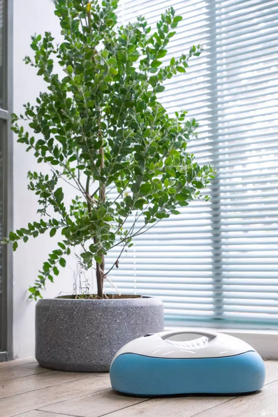 EVERYBOT 拖地机,一味治懒的药