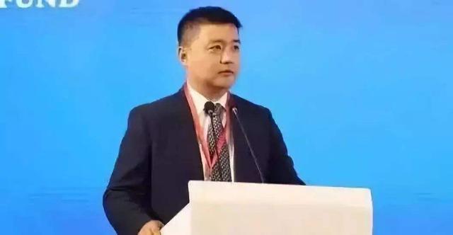 前长江基金董事长王含冰被开除党籍和公职 涉嫌职务犯罪