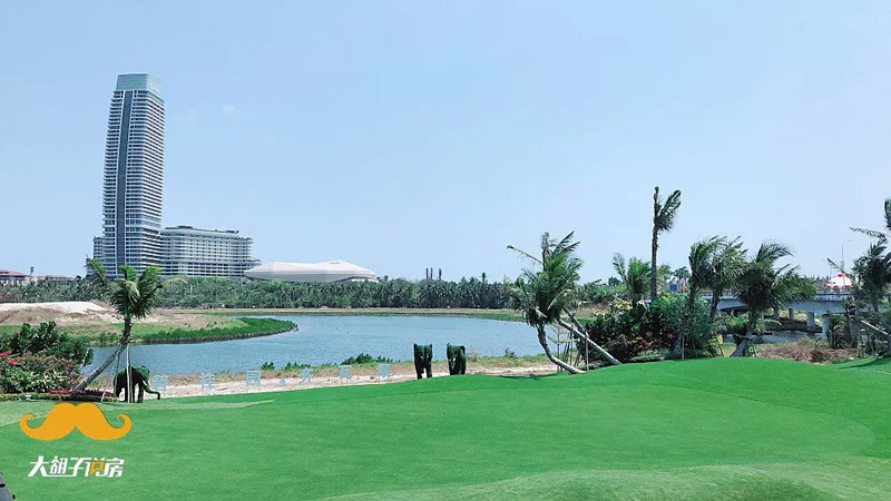 逆势限购加码!海南到底怎么了?