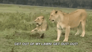 马云这个平头哥太狠了