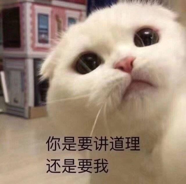 ͦлȺͷ˿ֻЬˡ