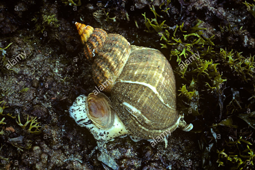 9af82a38b5bf40819a071e80eaa42ce2.jpg 9af82a38b5bf40819a071e80eaa42ce2.jpg