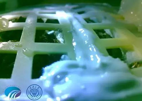 马云回应对钱没兴趣传闻,分析师称iPhoneXR将大幅降价