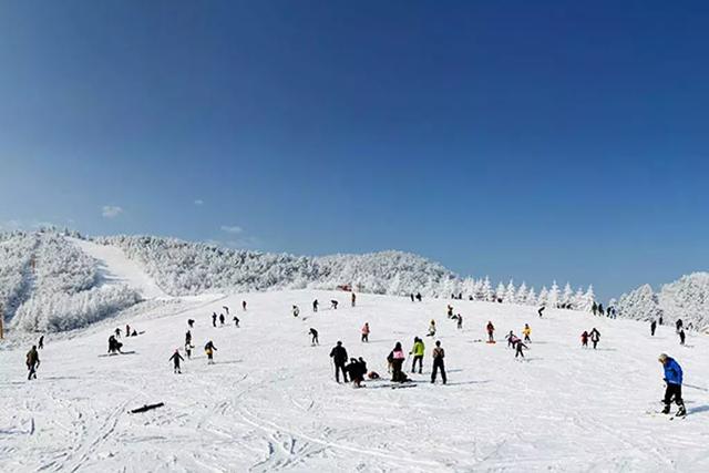 4.湖北神农架:南国规模最大滑雪地