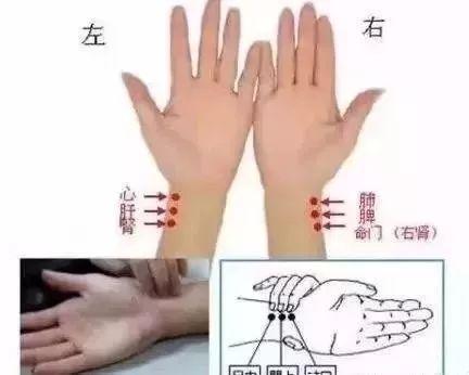 中医“把脉”的原理是什么?小学生都看懂了!