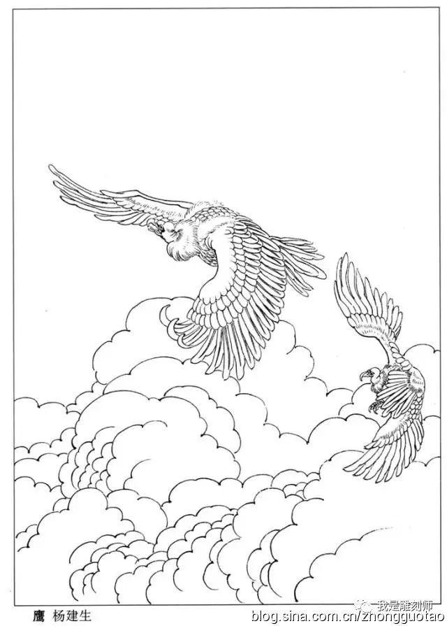 我是雕刻师工笔画-白描图谱之鹰__凤凰网