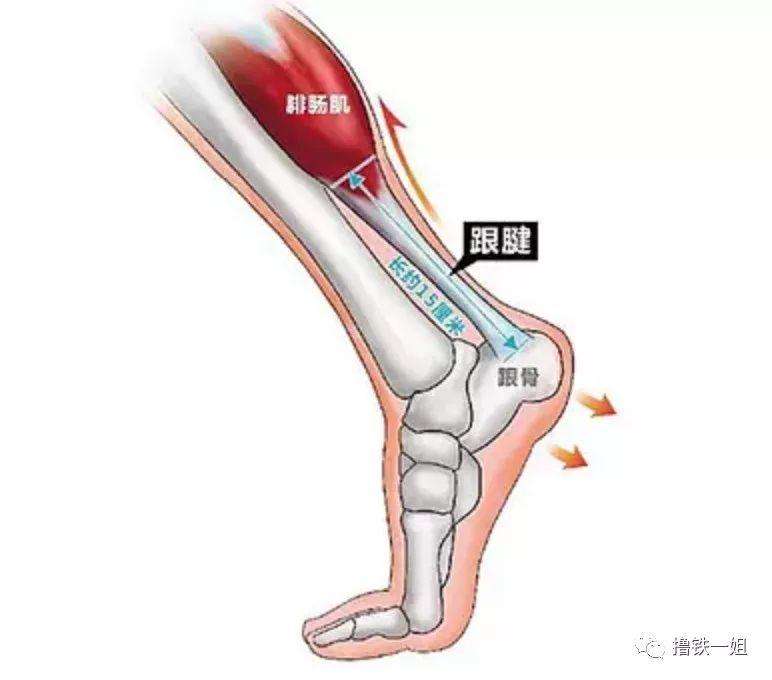 秀智的脸胖成150斤，但这90斤的脚脖子也太秀了吧