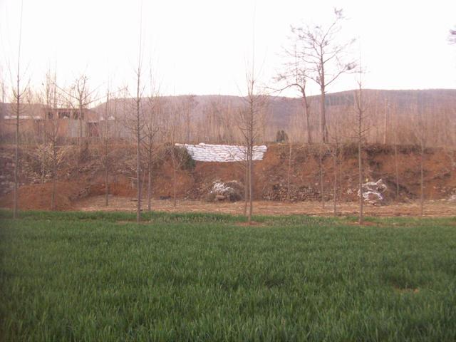 张川：风水之先后天水法