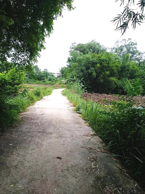 罗定市上宁村格木桥村梁氏始祖及发源地