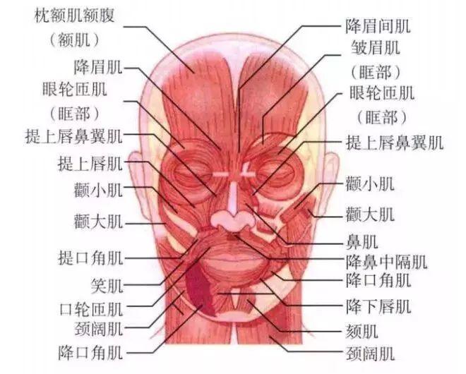 ݼܷͮý¾粥ֱ̱Ⱥˡ