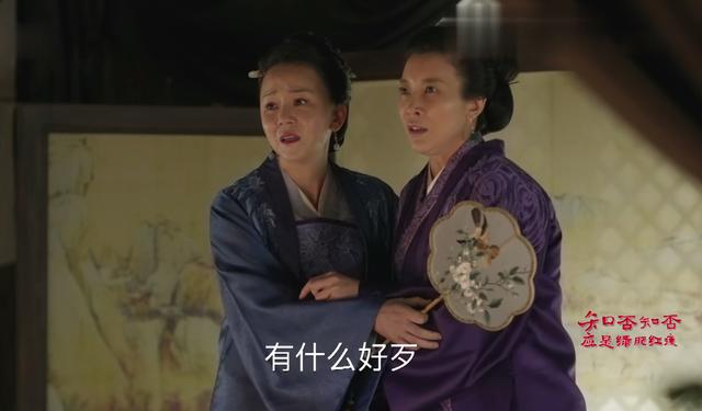 盛明兰孕后宣战:常嬷嬷护崽 刘贵妃挑拨 但这位姑娘才真正聪明