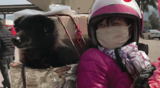 今年回家，我不再是一个人了！
