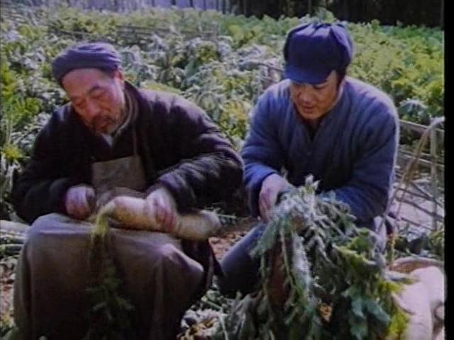 张连文去世,他曾经是文革电影的国标形象,文革后他的形象遭逆反