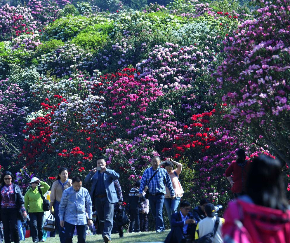 春节旅游网红爆款：贵州是一种瘾，去过戒不掉