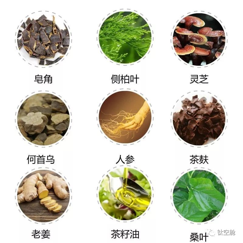 秃顶90后自救指南，一秒起泡，预防干枯分叉，春节不打烊｜大咖荐品