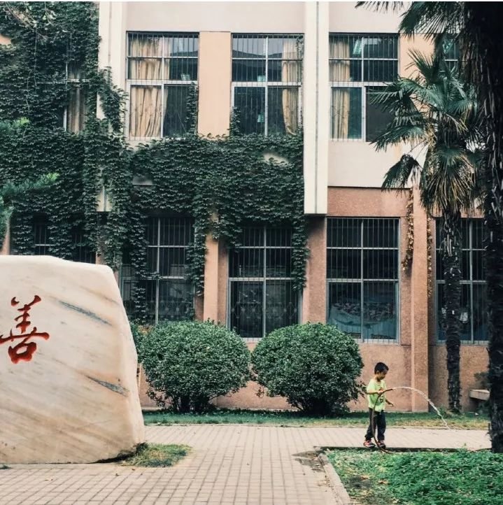 纪实、讽刺、隐喻.评论之前,请先感受