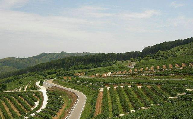 果树建园 生态果园的建设和模式