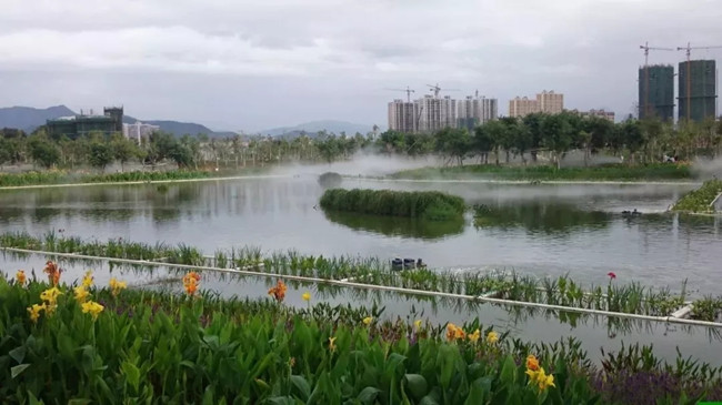 640.webp (1)_副本.jpg